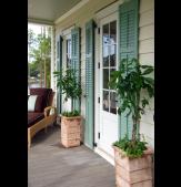 Legends Composite Louver Shutters